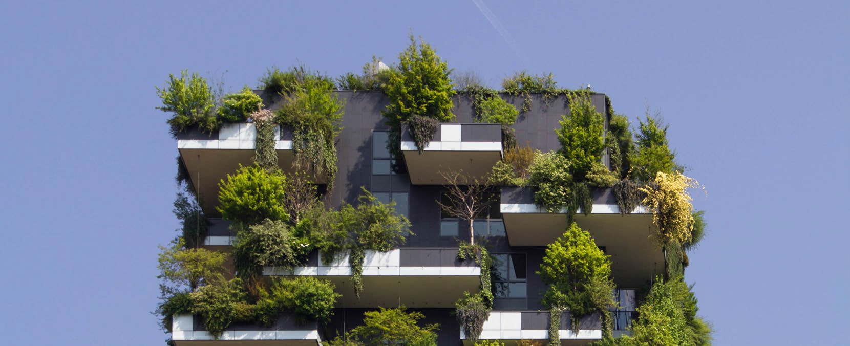 energy efficient home